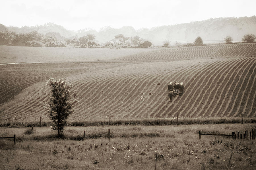 Farmland In Lancaster Pa Photograph By Eleanor Bortnick Fine Art America