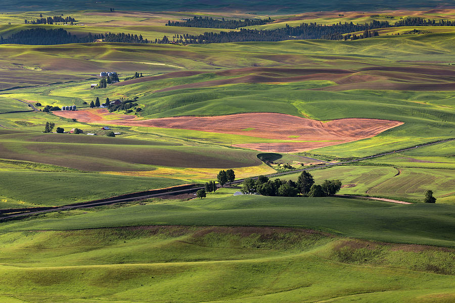 Farmland in the Palouse Photograph by Jerry Fornarotto
