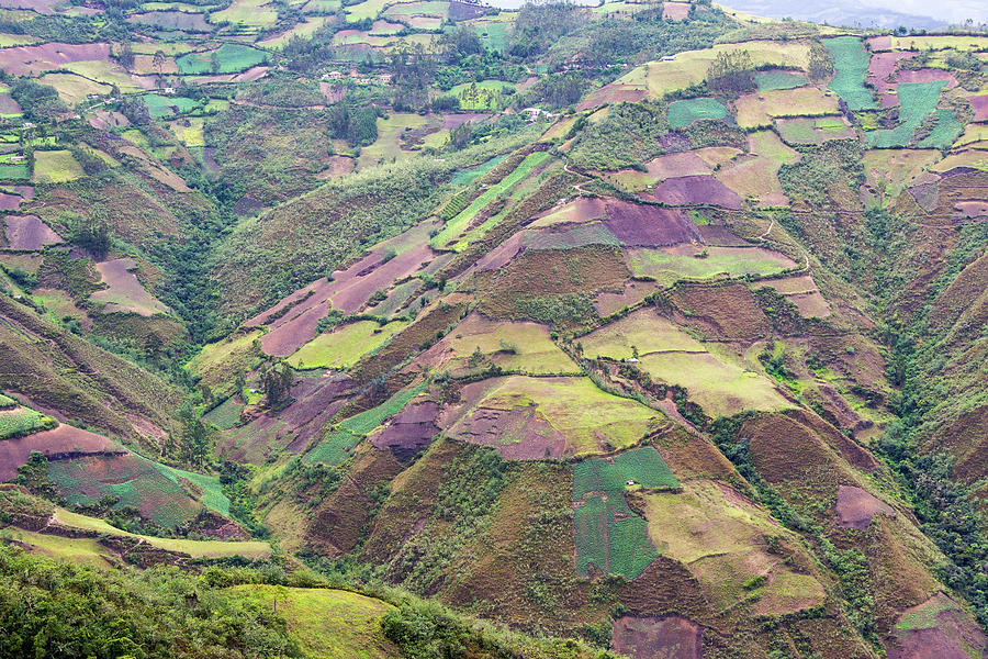 Farmland Landscape in Peru Photograph by Jess Kraft