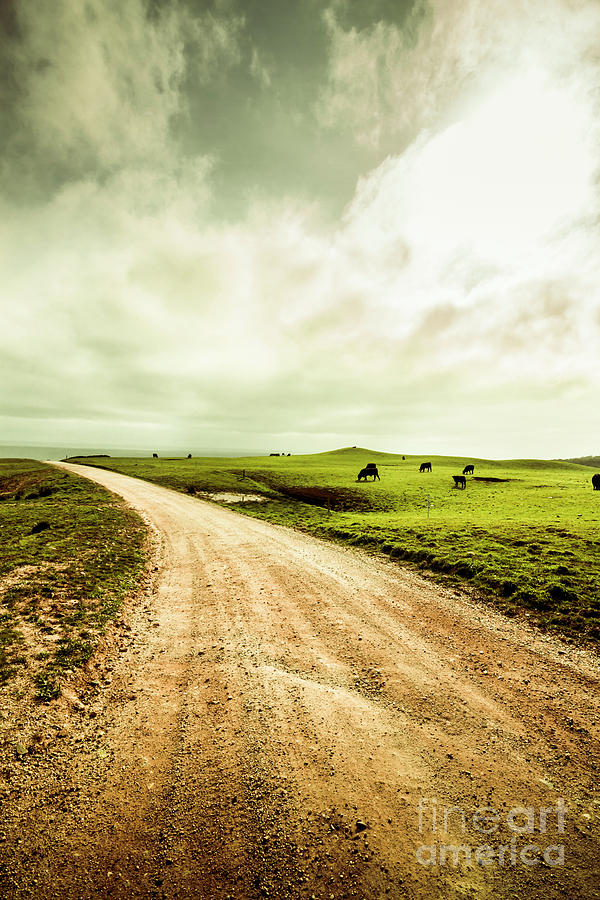 Farmland lane Photograph by Jorgo Photography