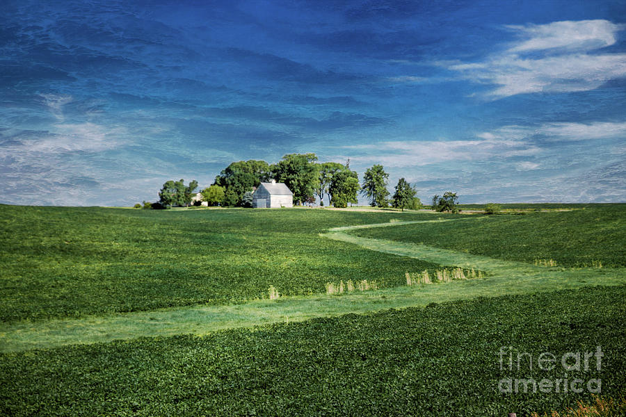 Farmland Photograph by Lynn Sprowl