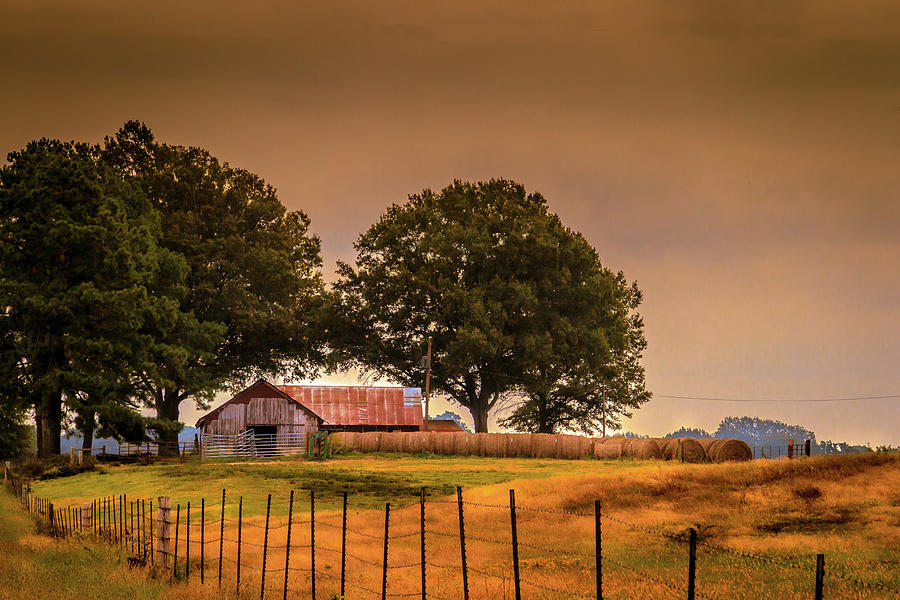 Farmland Morning Photograph by Barry Jones