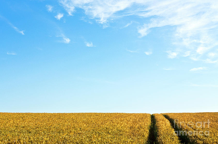 Farmland to the horizon 1 Photograph by Heiko Koehrer-Wagner