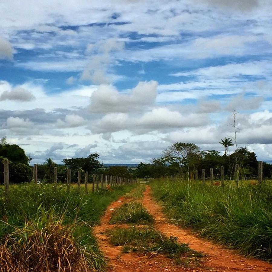Farm Photograph - Farms Way - Caminho Da Fazenda - Nova by Kiko Lazlo Correia