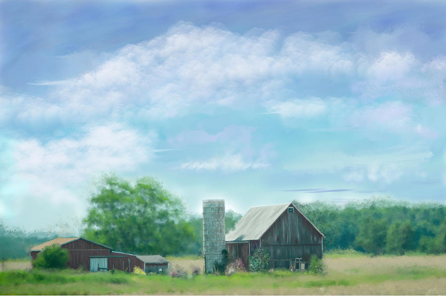 Farmstead Under Blue Skies Photograph by Mary Timman