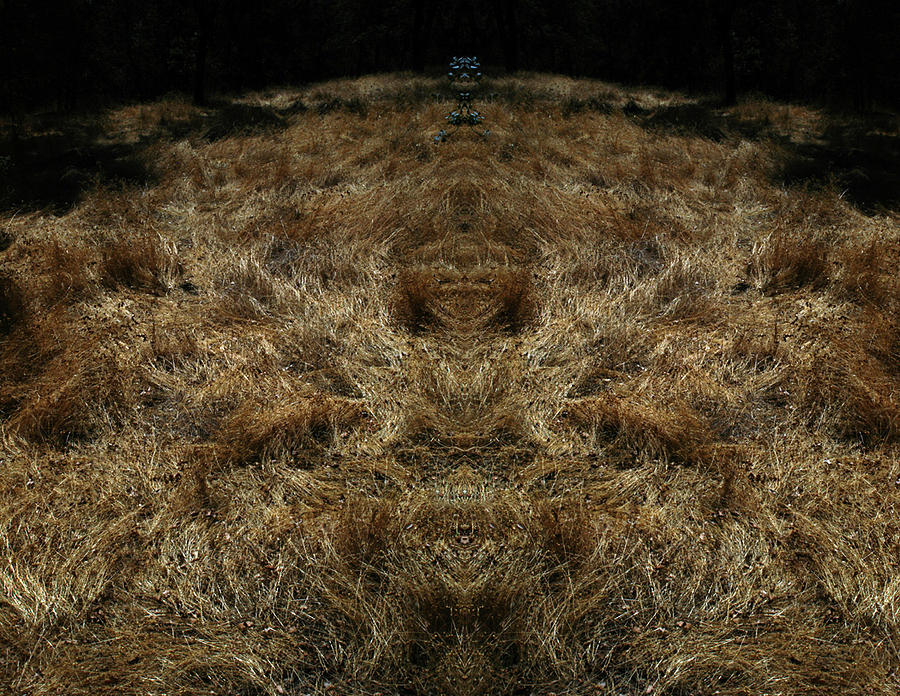 Grass Photograph - FarView 2 by A paul Cartier Grass Photograph - FarView 2 by A paul Cartier