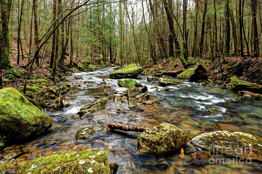 Fast Flowing Creek Photograph