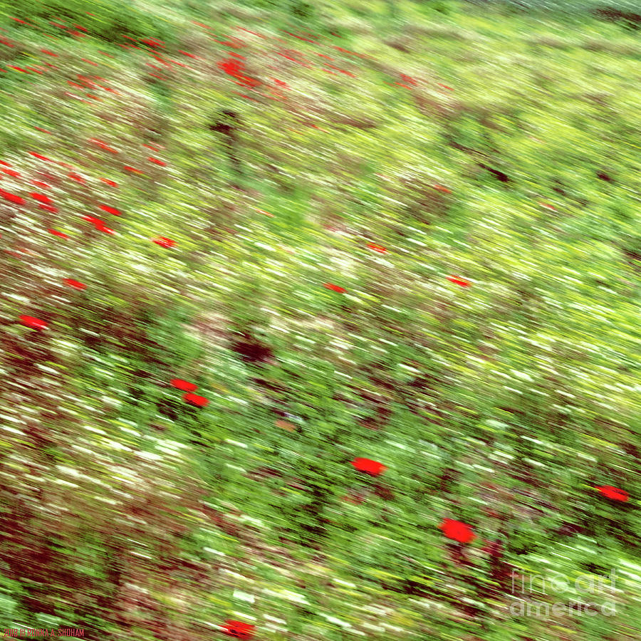 Fast Spring Ride Through The Field - Abstract Photography By Ronna A Shoham Photograph