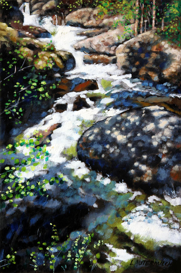Fast Stream in Colorado Painting by John Lautermilch