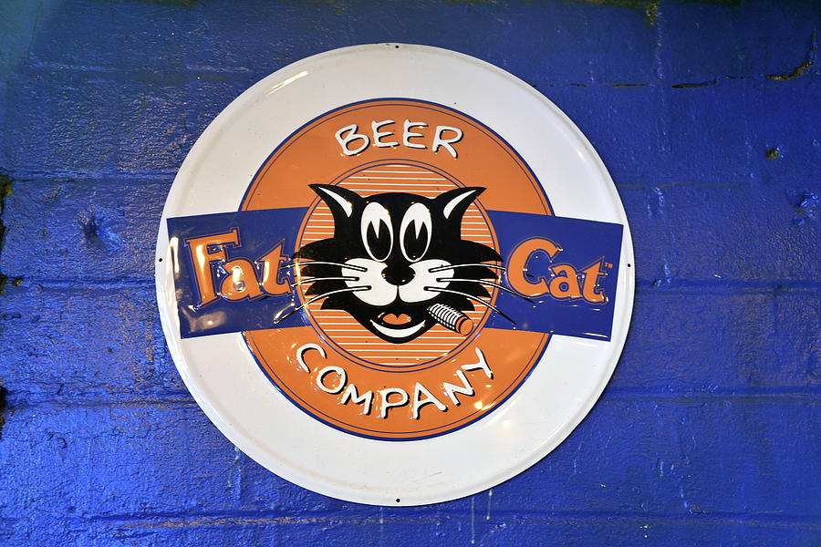 Fat Cat Beer Photograph by David Lee Thompson