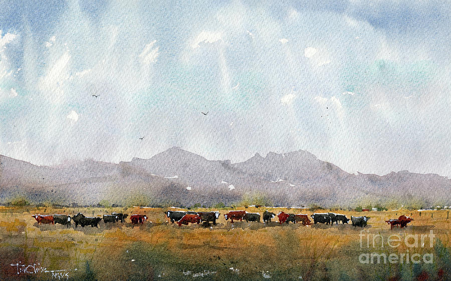 Fat Cows on Rancho Espuela Grass 2 Painting by Tim Oliver