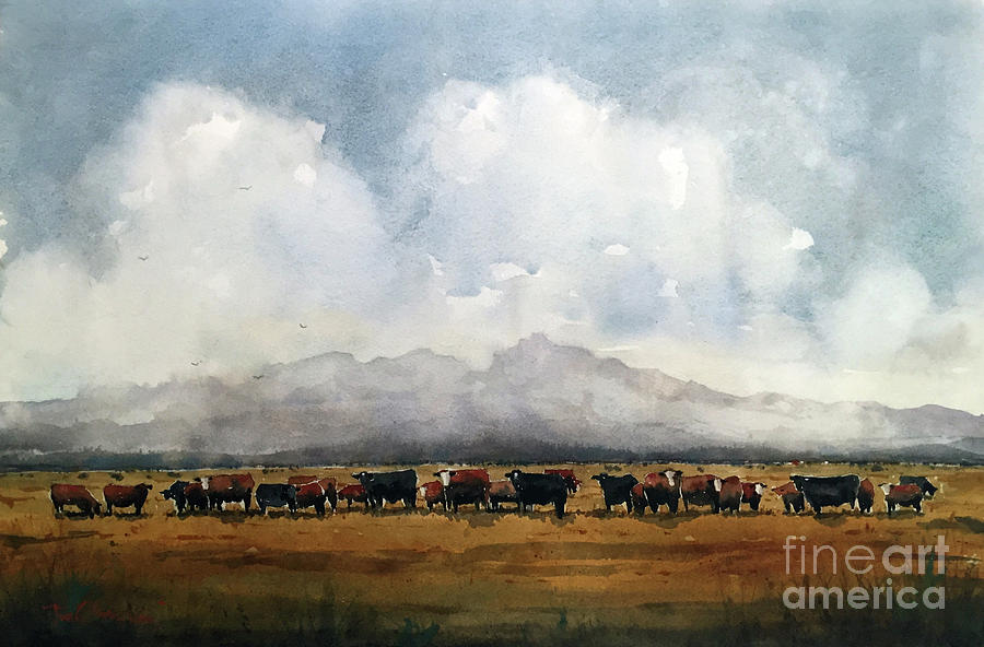 Fat Cows on Rancho Espuela Grass Painting by Tim Oliver