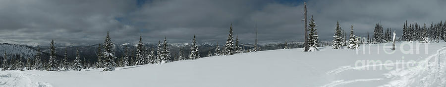 Winter Photograph - Fat Dog Panorama by Rod Wiens