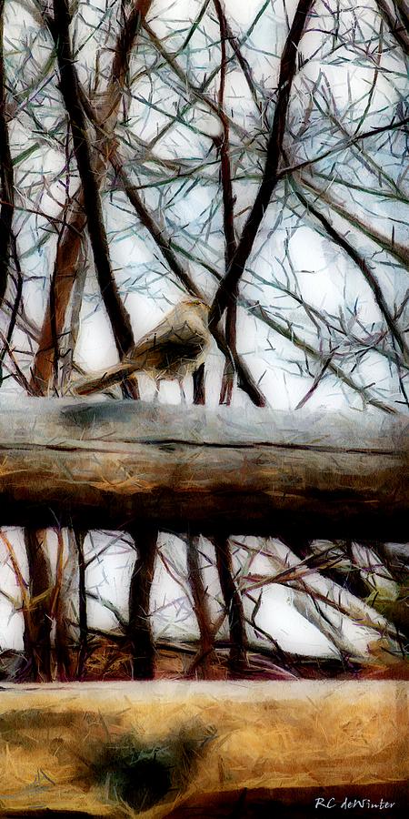 Fat Sparrow Fat Fence Painting by RC DeWinter