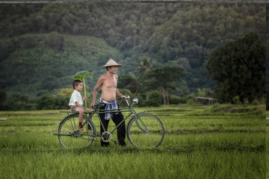 Father and sun with bicycle in rural Thailand. Photograph by Visoot ...