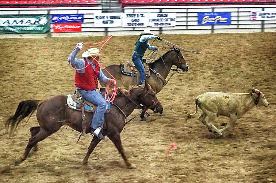 Father Daughter Team Roping Photograph by C H Apperson
