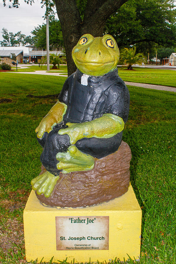 Father Joe Frog Photograph by Robert Hebert