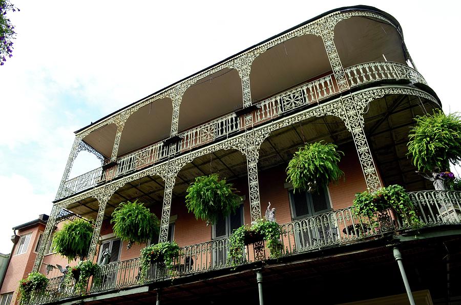 Faubourg Marigny Royal Street Photograph by Bob Adsett Fine Art America