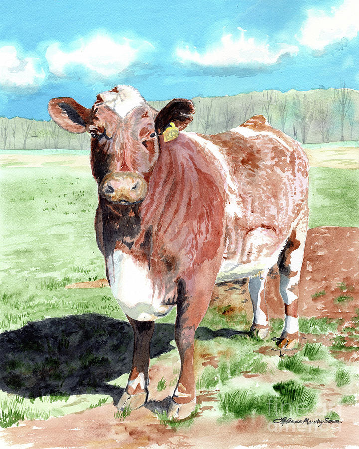 Favorite Cow, Red Cow, Longhorn, Farm Painting Painting by LeAnne Sowa