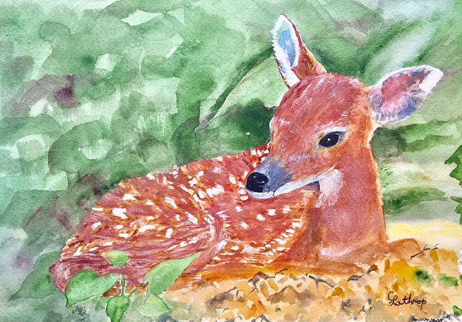 Fawn 2 Painting by Christine Lathrop