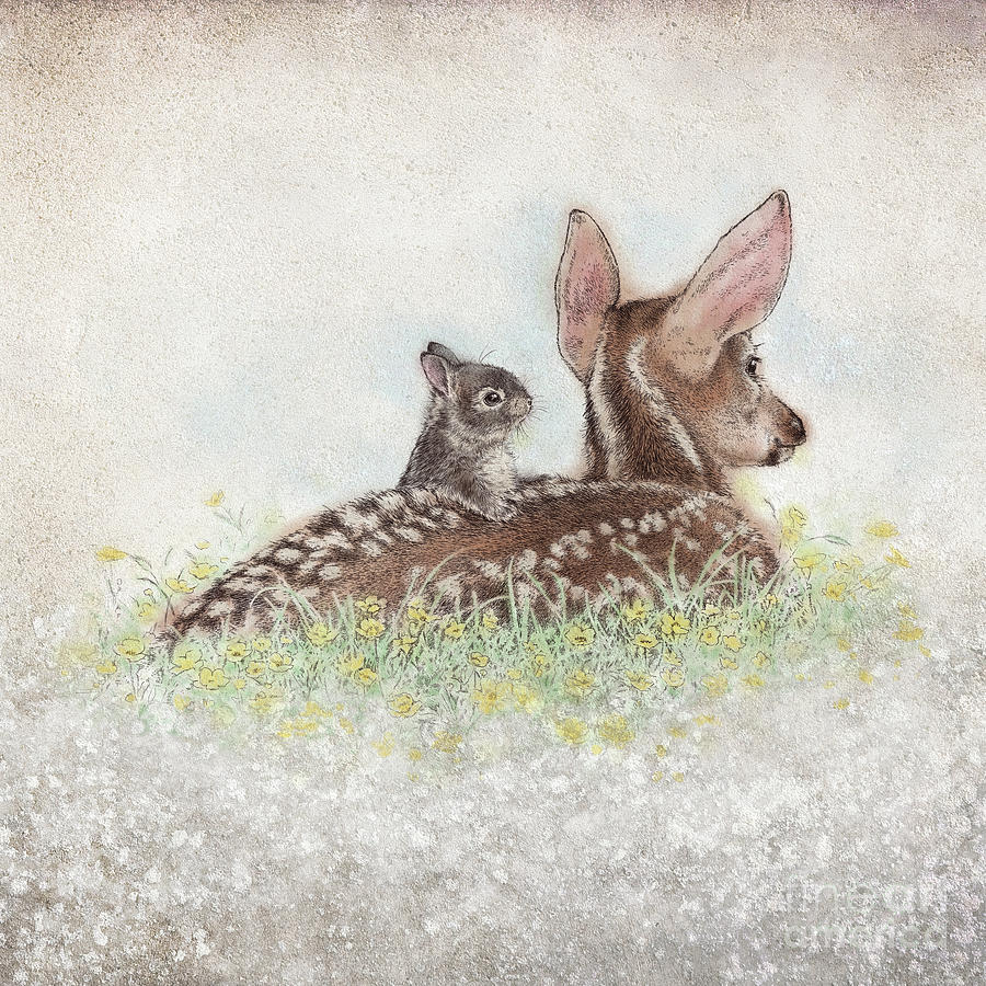Deer Drawing - Fawn and Bunny by Laurie Musser