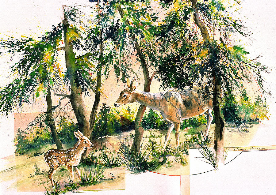 Fawn and Doe Painting by Connie Williams