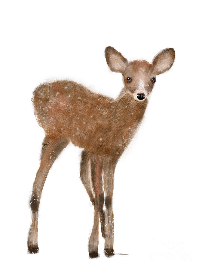 Deer Painting - Fawn by Bri Buckley