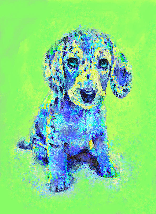 Green And Blue Dachshund Puppy Digital Art by Jane Schnetlage