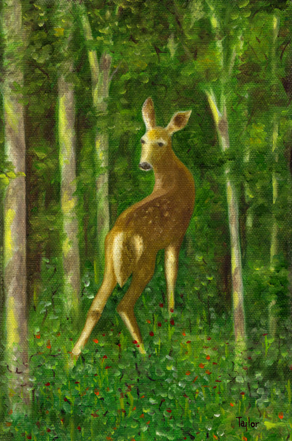 Fawn Painting by FT McKinstry
