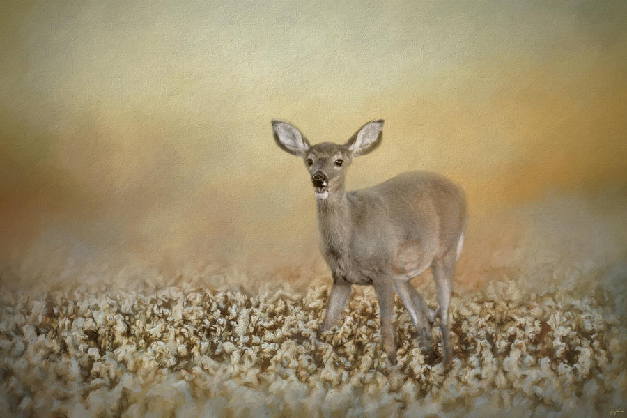 Fawn In The Cotton Field Painting by Jai Johnson