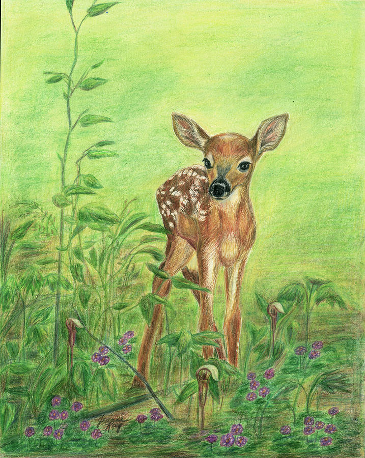 Fawn Painting by Jeanne Juhos