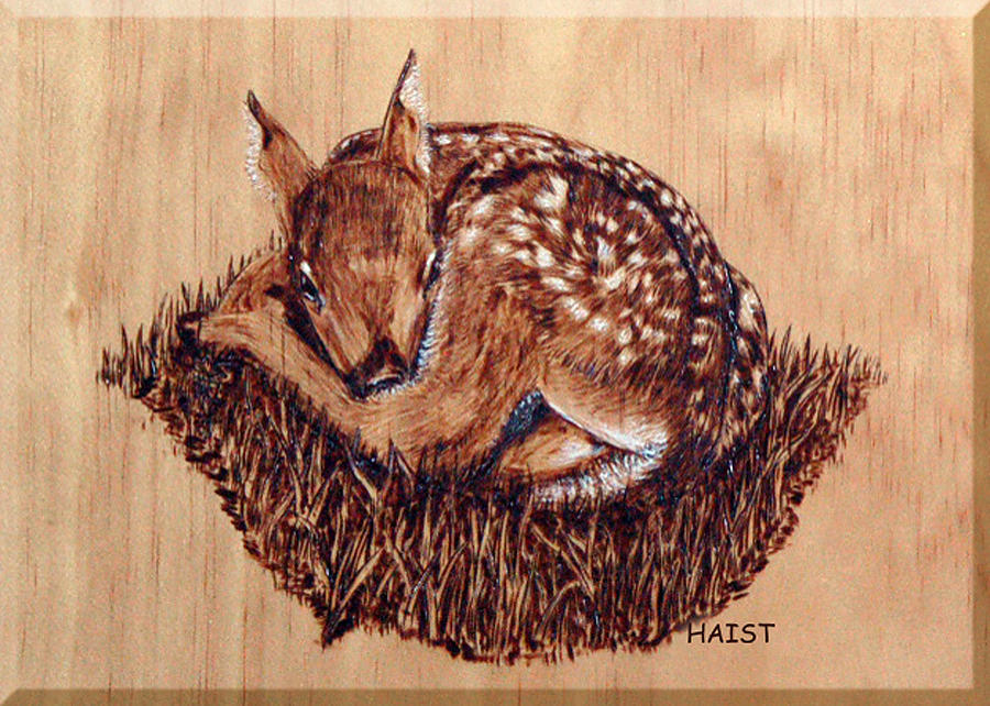 Fawn Pyrography by Ron Haist
