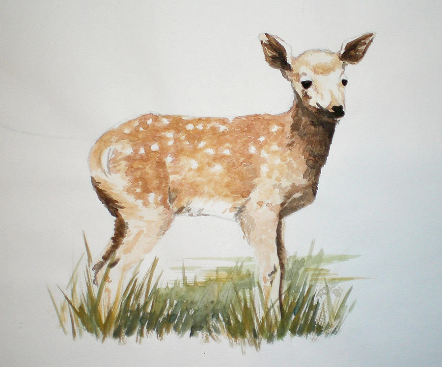 Animal Painting - Fawn by Theresa Higby