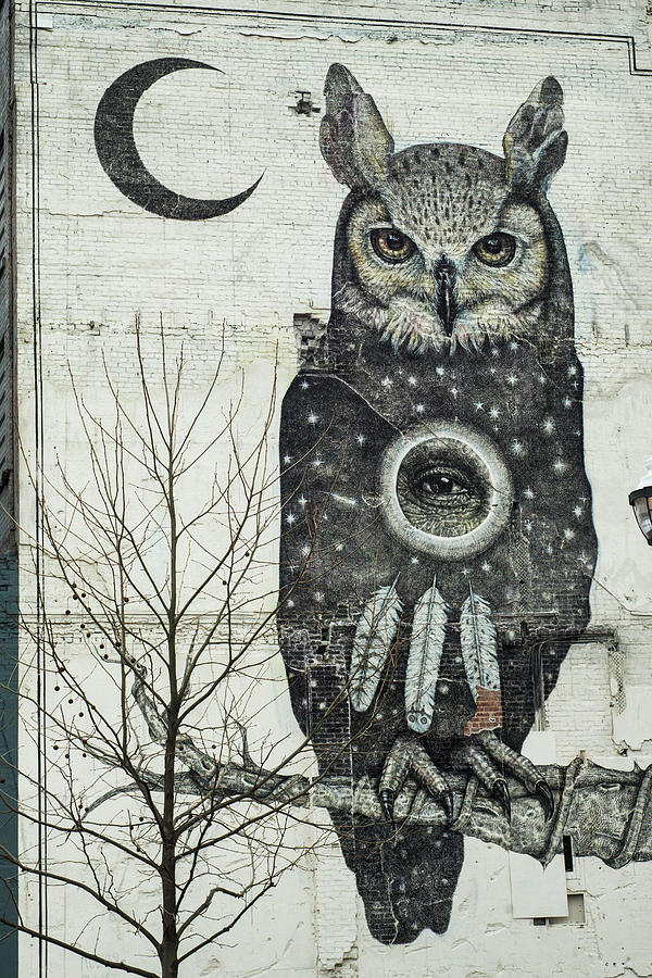 Fayetteville Mural Perched Owl - Crescent Moon Photograph by Gregory Ballos