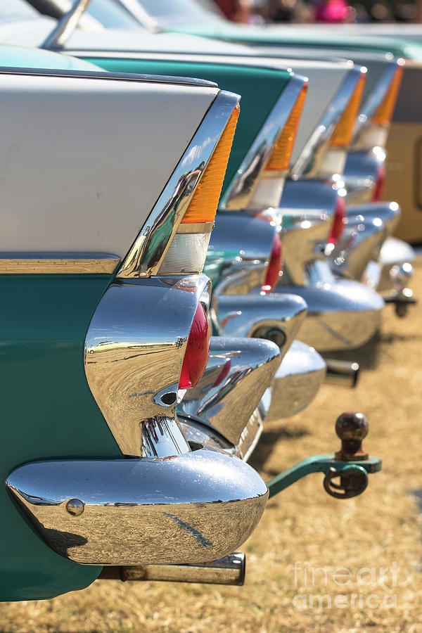 FB fins Photograph by Howard Ferrier