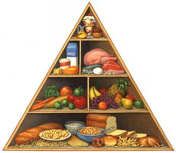 Food Pyramid Painting - FDA Food Pyramid by Douglas Schneider Food Pyramid Painting - FDA Food Pyramid by Douglas Schneider