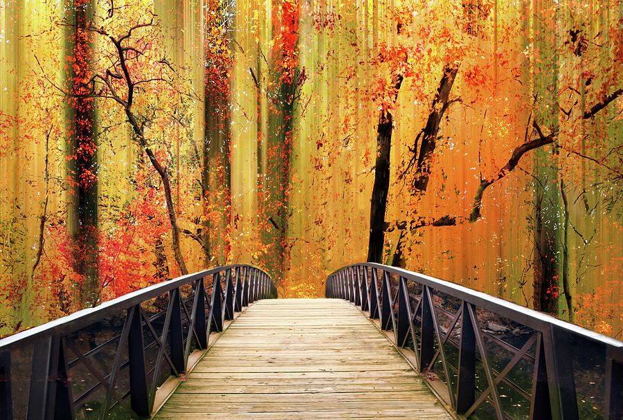 Footbridge Photograph - Forest Fantasia by Jessica Jenney Footbridge Photograph - Forest Fantasia by Jessica Jenney