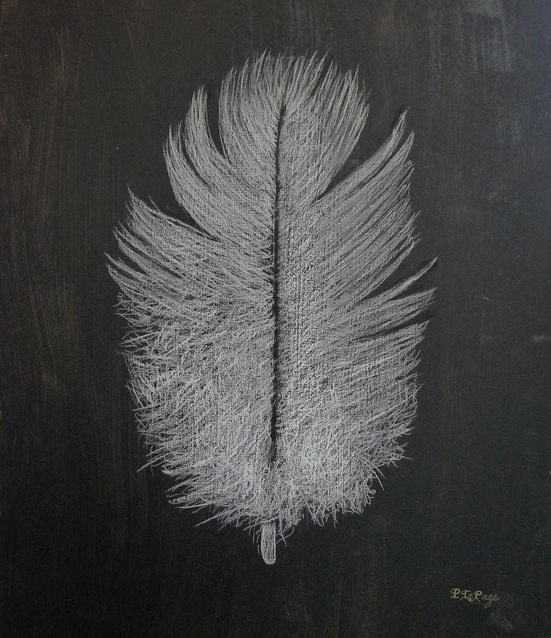 Feather 1 Pastel by Richard Le Page
