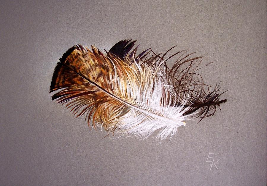 Still Life Drawing - Feather and shadow 2 by Elena Kolotusha