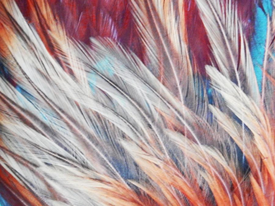 Feather Brushed Abstract Photograph by Jan Gelders