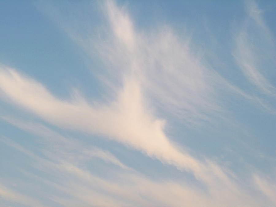 Feather Cloud Photograph by Shai Biran Fine Art America