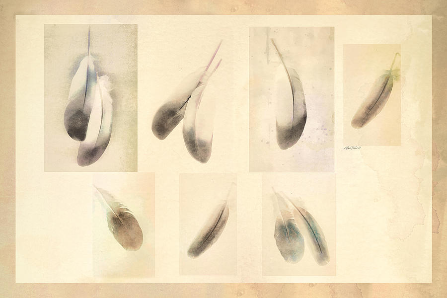 Feather Collage Digital Art by Ann Powell