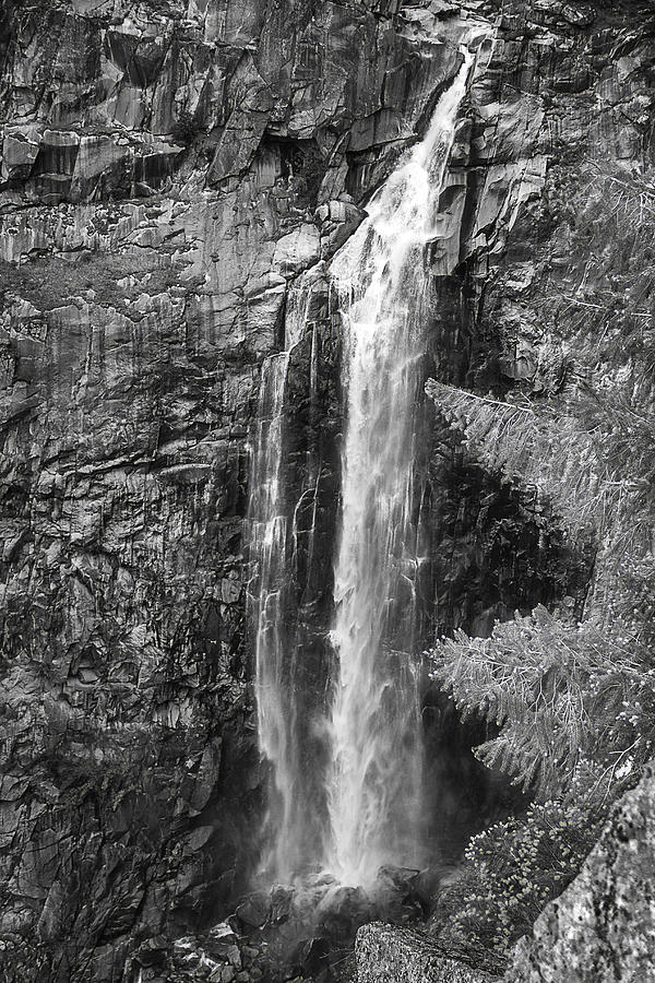Feather Falls 2015 Bw Photograph by Shawn McMillan