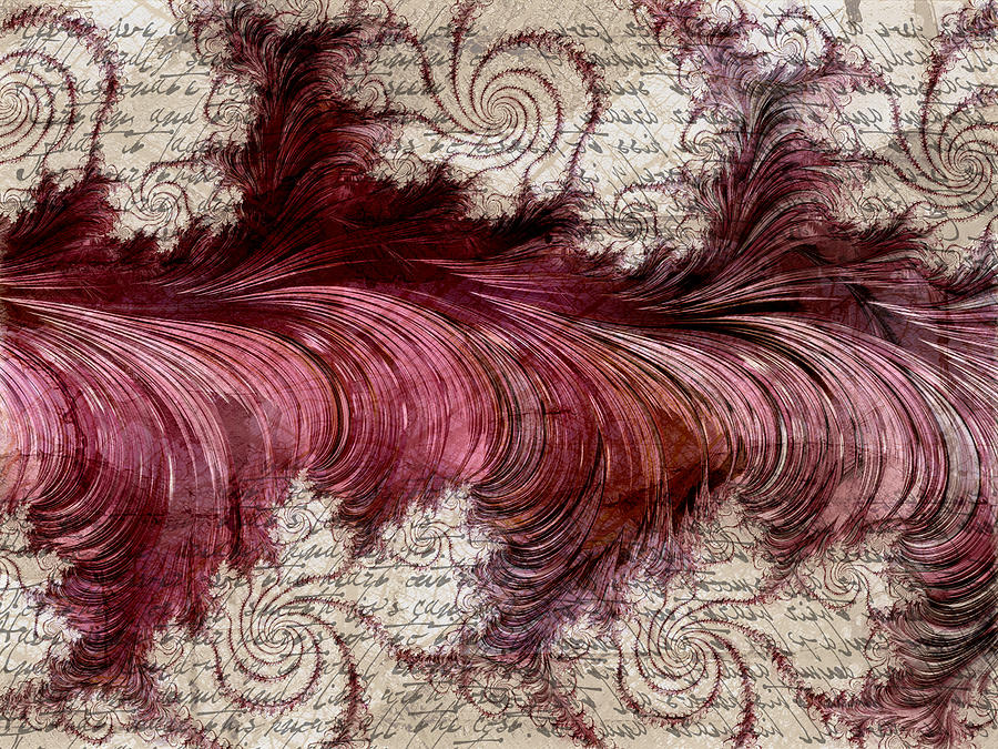 Abstract Mixed Media - Feather From De Bergerac by Georgiana Romanovna