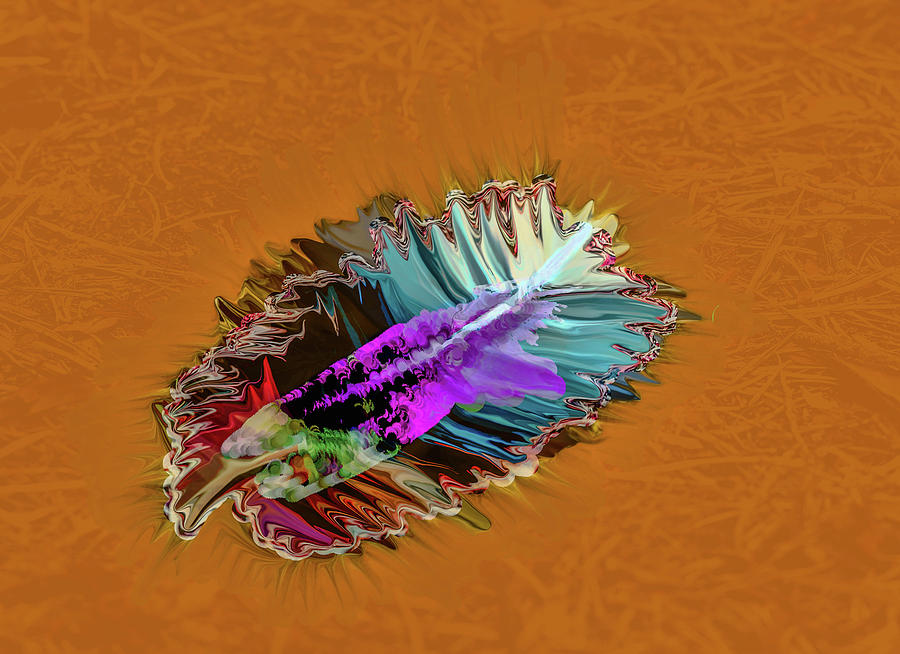 Feather #h8 Digital Art