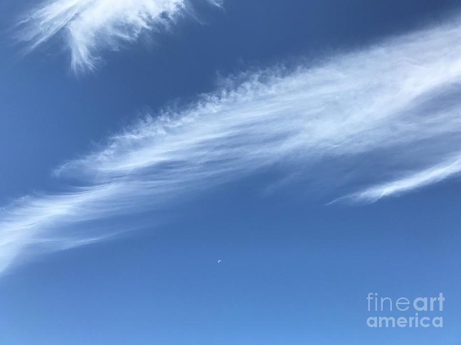 Feather in the Sky Photograph by Tiziana Maniezzo