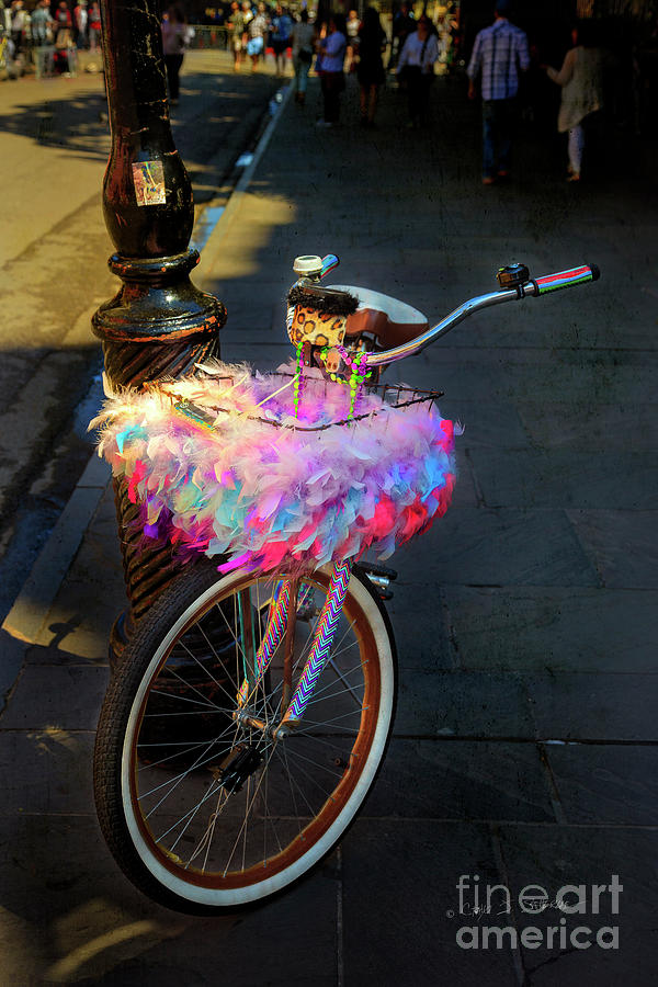 Feather Jazz Bicycle Photograph by Craig J Satterlee