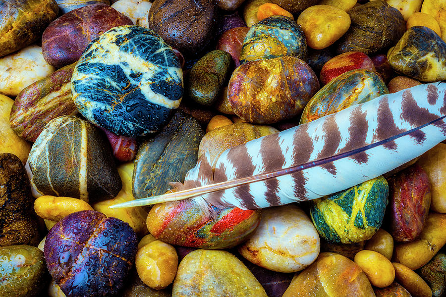Feather On River Stones Photograph by Garry Gay