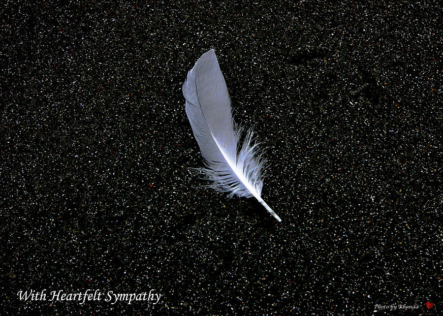 Feather Photograph by Rhonda McDougall