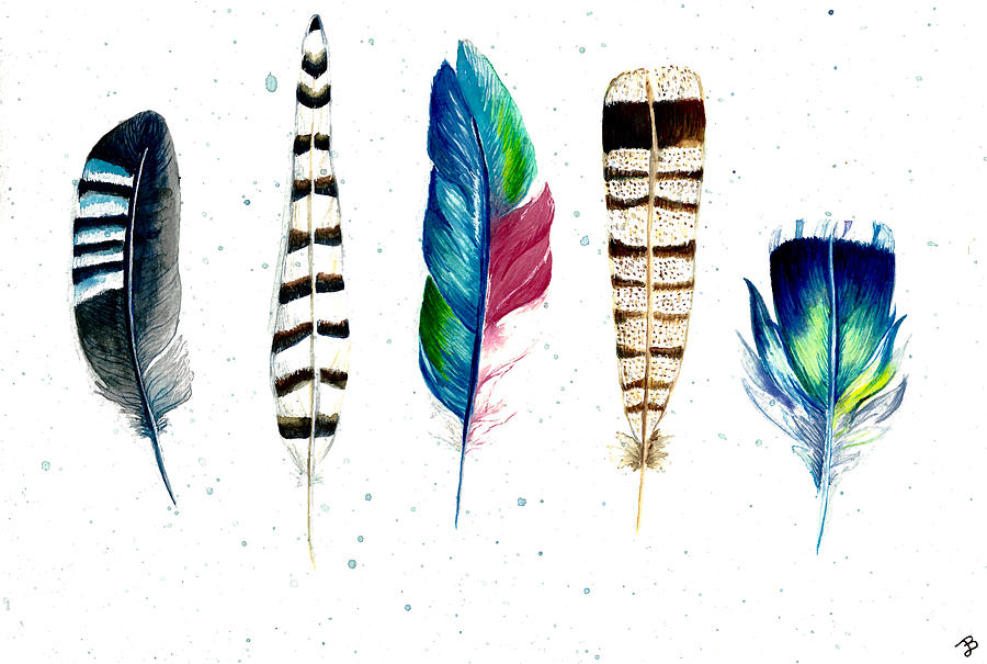 Feather Painting - Feather Study by Becky Dimock